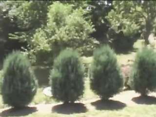 Father and wife serviced by son in garden