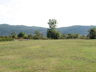 Magnificent model on the vineyards in the sun shows her body
