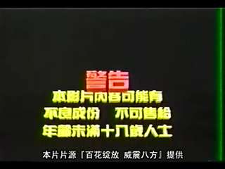 Seri phim cổ trang châu Á P9: Nữ cảnh sát phá đường dây tội phạm