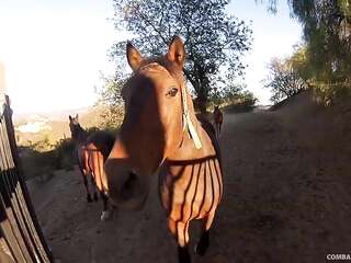 الفتاة العاهرة أحبت الشيخ العربي وضاجع الفتاة الشقية