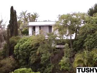 Submissive secretary punished and sodomised