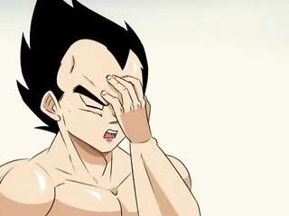 Vegeta gets a gift (Vegeta x Bulma) - by FunsexyDB