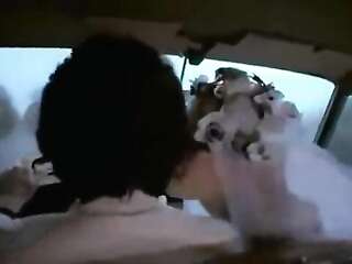 Palais-Royale (1976) - ✕✕✕ classic retro full movie