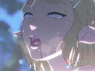 kokoboro zelda 2D teaser