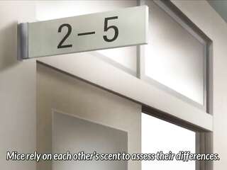 Girl and Hot Animation e.1