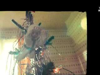 Varvara Shmykova. Petrovs in the Flu (2021)