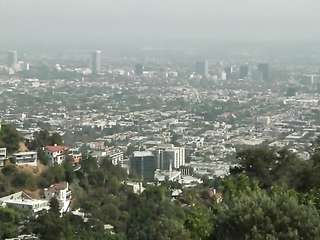 Christy Mack Bitch Fucked in ass