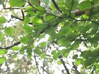 AT JAVHD.NET Sub Av Idol Hpjav new code Auntie movie JRZD-939